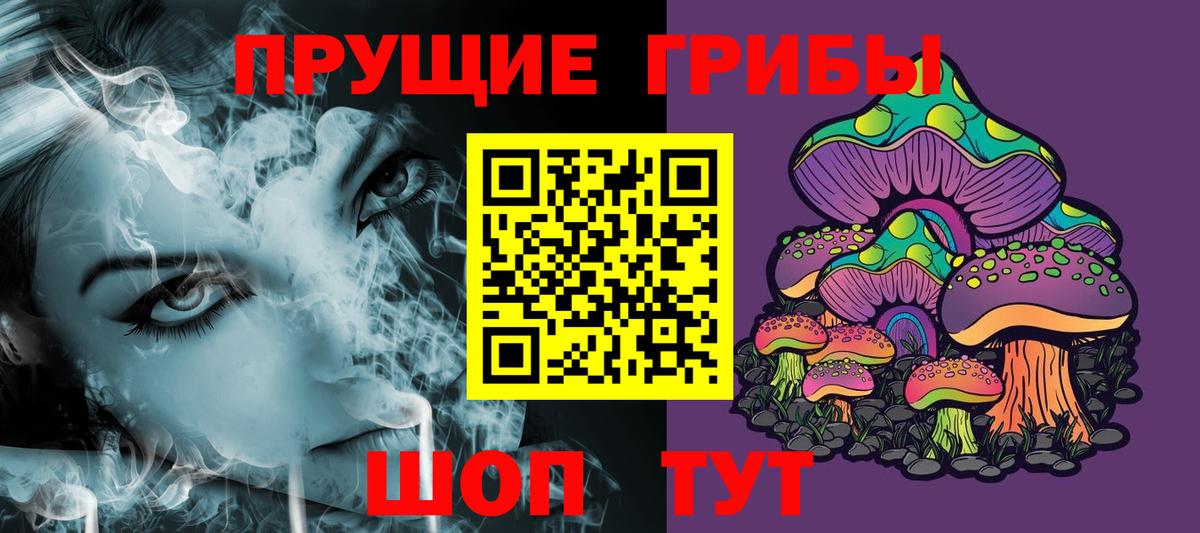Благовещенск  Галлюциногенные грибы прущие грибы  Вход с VPN 